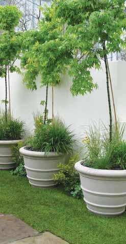 Width 420mm Cranborne Traditional rimmed planter, with generous planting room.