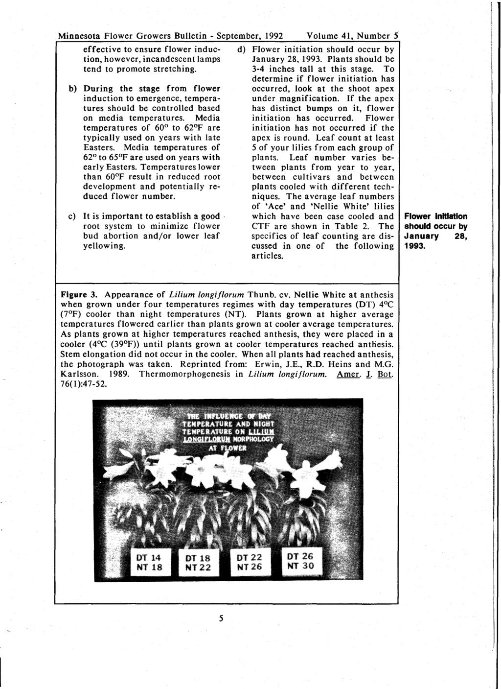 Minnesota Flower Growers Bulletin - SePtember. 1992 Volume 41. Number 5 C effective to ensure flower induction, however, incandescent lamps tend to promote stretching.