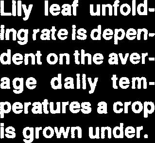 Leaf unfolding rate increases with average daily temperature to an optimum then decreases as