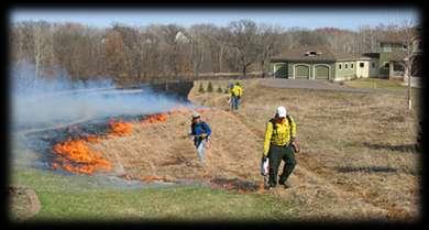 Restores vegetation structure, composition and biodiversity Burning: Mowing and/or