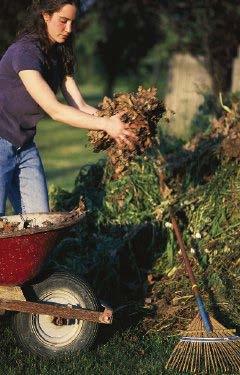 Composting - How to do it Collect backyard organic materials: grass