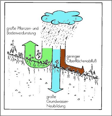 Increase of runoff Natural water cycle Urban water cycle High Evapo-