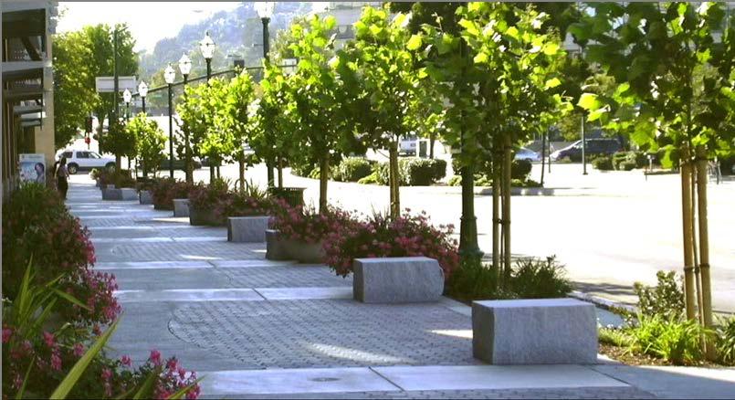 Large, broad canopy trees are specified for wider street sections and medians, while smaller canopy trees are identified for parkways to shade sidewalks for pedestrian comfort.