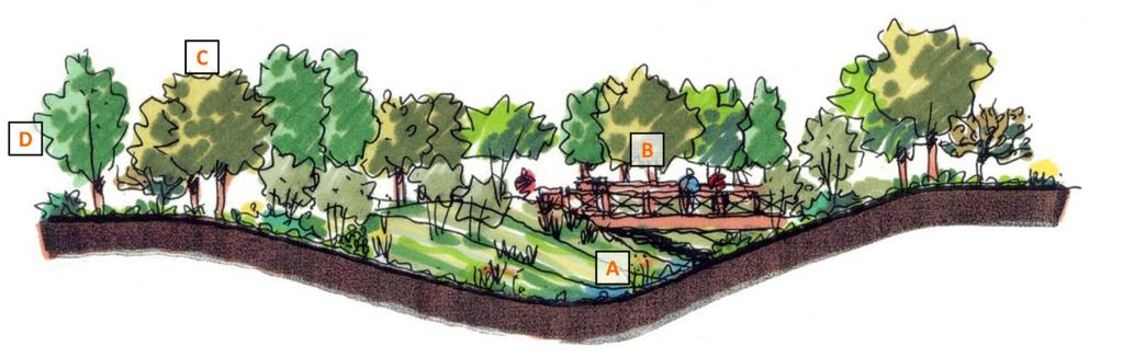 PUBLIC REALM (PARKS, OPEN SPACE, PUBLIC FACILITIES) 6 The exhibit below illustrates the Chabot Creek (A), a pedestrian bridge (B), and riparian planting (C).