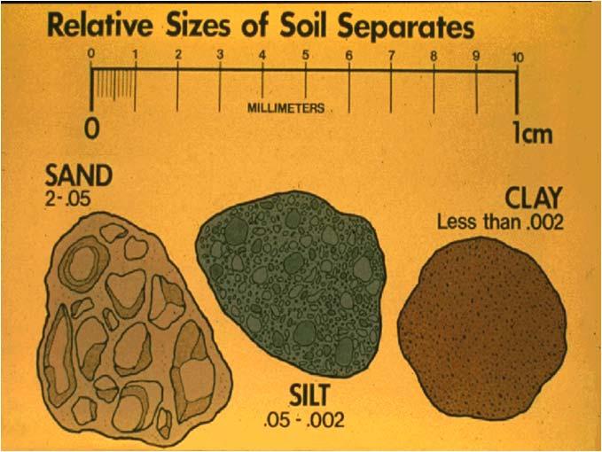 In the field, texture is determined by feel Texture - 1 Disk 3 Importance of Soil Texture Influences pore size and pore