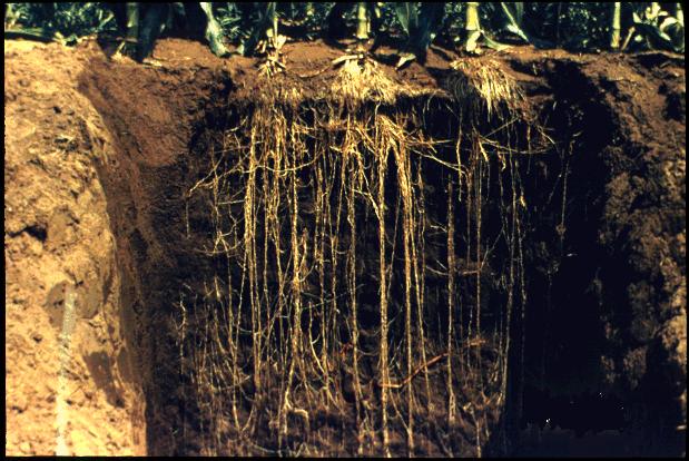 Soil Compaction Relative Compacting Effects of Soils by Different Agents Pressure,