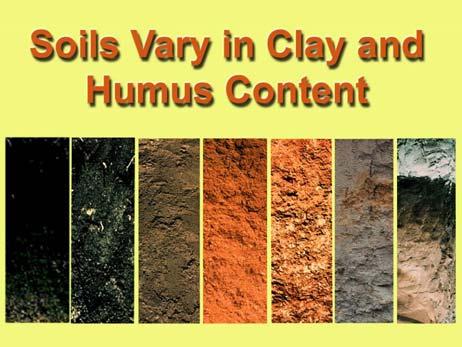 gray, red, beige Give important clues about soils chemical and physical environment