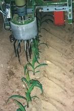 Mechanical intra-row weed control