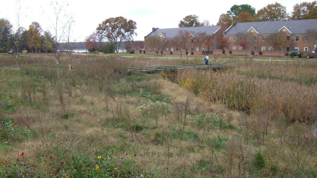 Landscape Amenity Research and Learning opportunity Stormwater Management Wetland Native Habitat