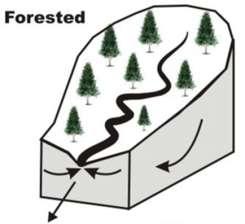 1 lb-n/ac (2330 lb-n) Forest, 140 ac: 620 lb-n N Reduction: 5.