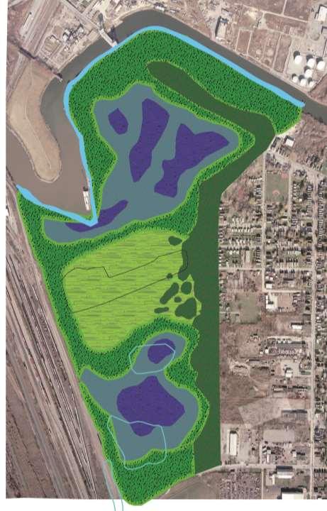 Full Restoration Responding to: Historic and existing landform Hydrologic and habitat patterns Connection potential