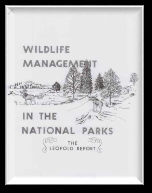 Revisiting Leopold and the Future of the National Park System The overarching