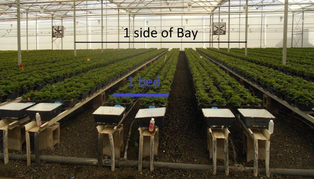 Be aware of differences in greenhouse climate conditions Faster drying occurs near edges, fans, and