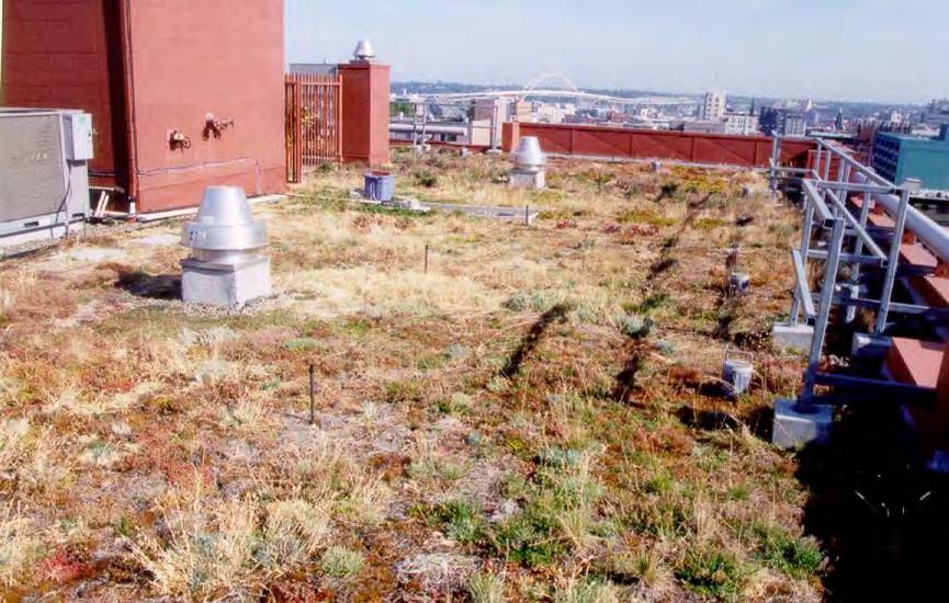 Green Roofs Help to