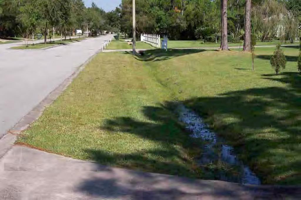 NO CURB AND GUTTER Avoiding the standard curb and gutter road design