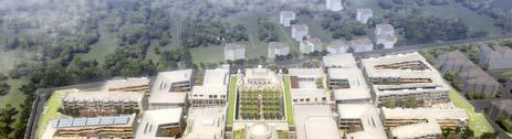 CAMPUS: AERIAL VIEW SAHAT WITH THE SACRED TREE ARRANGEMENT