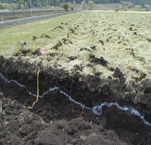 Tilth: Soil Structure and its Management Sonoma County Vineyard Technical Group May 18, 2017 Ripped to 24
