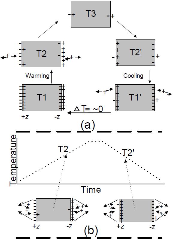 2. Method_I. Pyroelectricity Schematic diagram of the response to temperature changes of a pyroelectric crystal in a dilute gas environment. James D. Brownridge, et al.