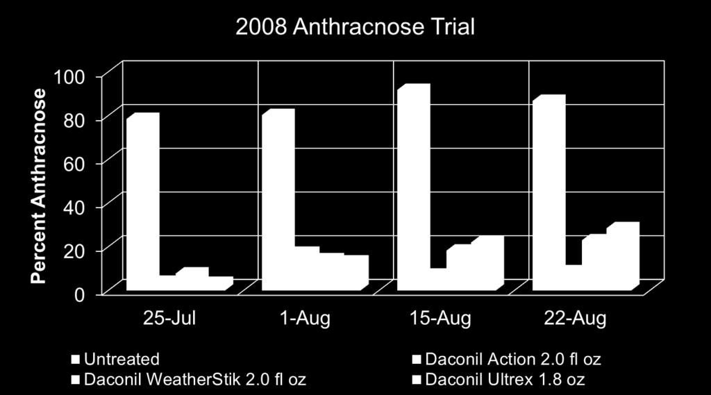 Control of Anthracnose with chlorothalonil + acibenzolar (Daconil Action ) on an Annual