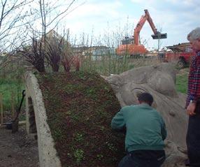 trained green roof installers will discuss your