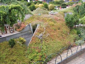 can install a living sedum roof on anything from a