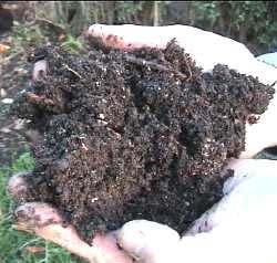 HOME COMPOSTING WHAT IS COMPOST?