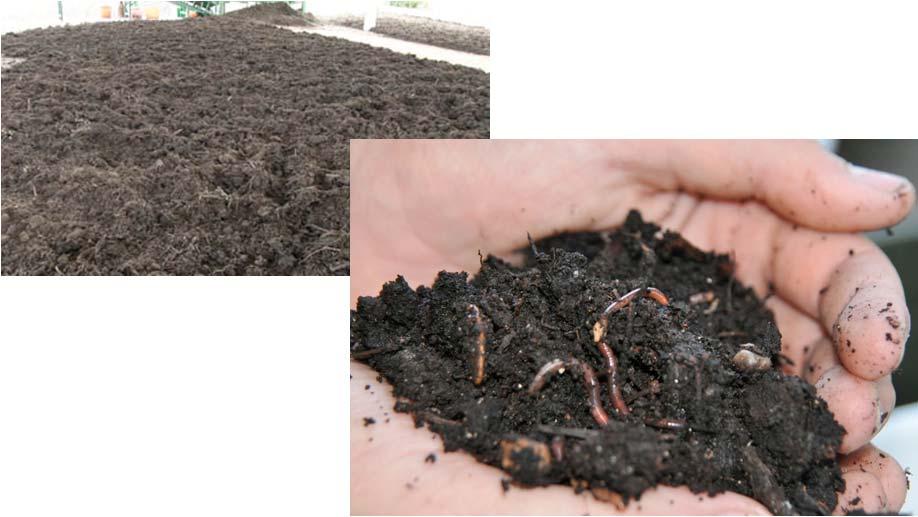 ROLE OF COMPOST AND