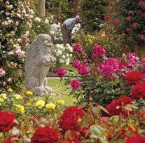the giant topiary chess set in the Tudor Garden and inhale the fragrance of over