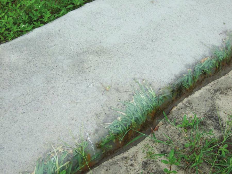 If the edges of the plastic come out of the ground, heat will leak out (Fig. 7). It is important to re-bury or re-seal any exposed edges as soon as possible.