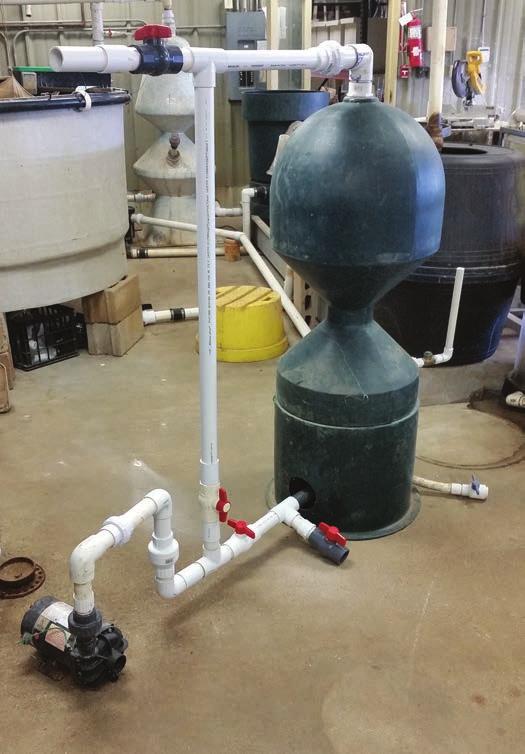 By not using the flex hose, some solids might be trapped and eventually clog the bead filter. The operator may use the flex hose for part of the backwash and the screened drain for the rest.