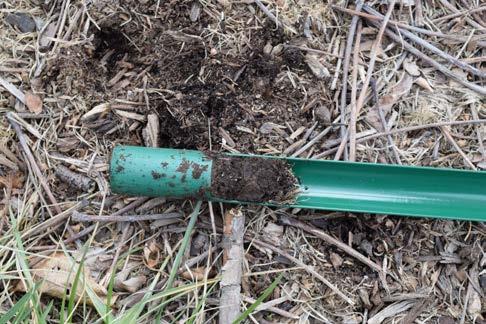 Things to Consider Before You Sample To get an accurate soil test, you need to carefully collect and prepare soil samples. This section describes how to collect a good sample.