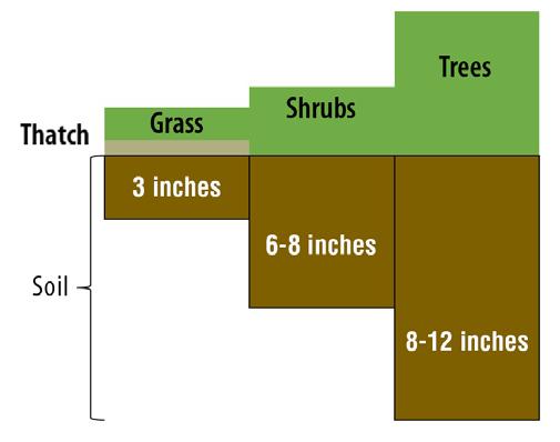 Figure 4. The depth from which you collect a soil sample will be different for trees, shrubs, and grass.