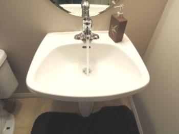 Vanety Sink & Faucet At the time of inspection there was no major concerns with the pedestal sink.