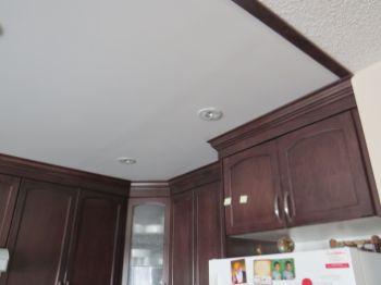 3. Ceiling Type & Condition.