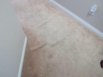 12. Soft Flooring. The carpet is dirty & it is recommended to have the flooring professionally cleaned at move-in. There are some carpet "ripples". Have a professional carpet installer re - stretch.