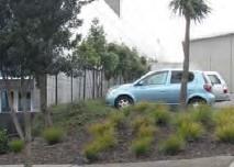 Planting (where possible or appropriate) to create a landscaped character to the street, soften the