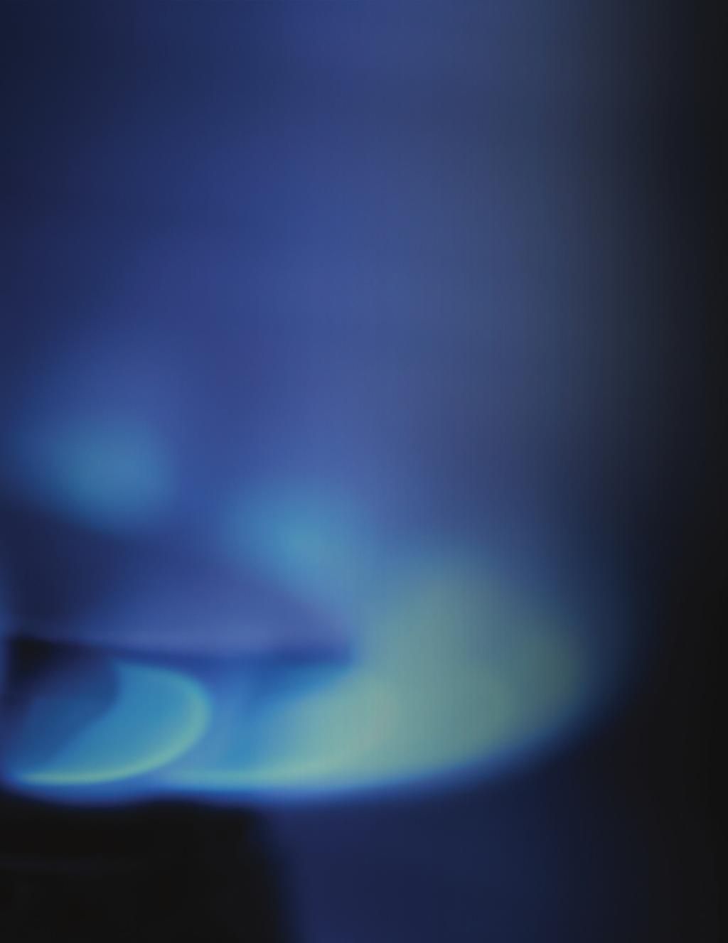 HEATING GAS, OIL AND ENERGY EFFICIENCY courses Domestic Core Gas