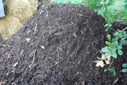 Compost Considerations Plant Based SOF ~$30/yd for materials Labor/fuel
