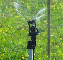 Types of Irrigation Systems Drip Irrigation Efficient use of water Low flow/pressure