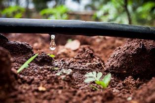 loamy-clay soils Overhead Irrigation Mimics rain Higher flow/pressure requirements