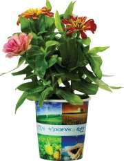 Grow Cup Eco-Friendly Garden Kit - Ecology Item # GSS0203 Grow Cup Eco-Friendly Garden Kit - Ecology Seeds, Full color Grow Cup comes with seed packet, soil wafer and plastic lid.