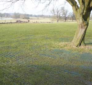 GRASSPROTECTA Grass Reinforcement Mesh FREQUENCY OF USE SUGGESTED APPLICATIONS Occasional consecutive vehicular use Permanent grassed overflow car parks, residential parking, access routes, holiday