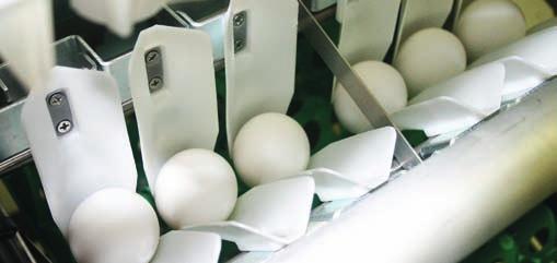 Diamond 70 FP The Diamond 70 FP is a compact, stainless steel packer that easily handles 25,000 eggs per hour on plastic or paper 30 egg trays.