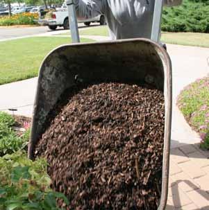 4. Mulch Mulch keeps plant roots cool, prevents soil from crusting, minimizes evaporation and reduces weed growth.