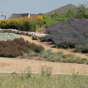Inorganic mulches, such as rocks and gravel, should be applied 2 to 3 inches deep. Boulders, rocks and gravel make great natural drainage areas or dry beds.