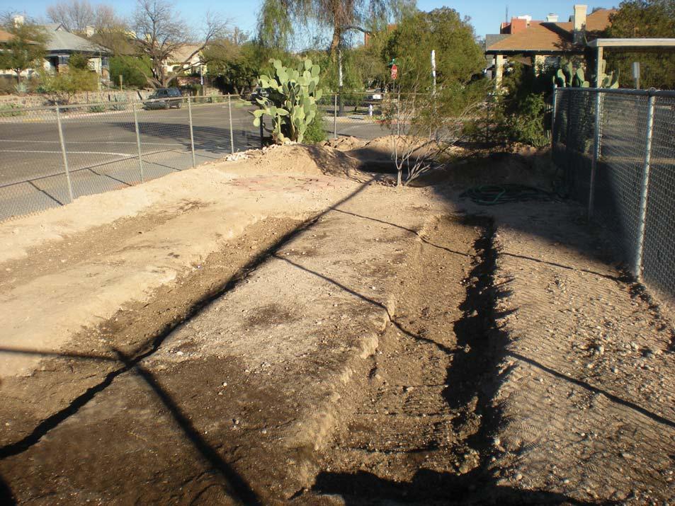 Roskruge Bilingual Magnet School # priority three fruit trees in school garden: heritage pomegranate, heritage quince Location of Student Garden 2 1 6 replace dead tree with desert willow (chilopsis
