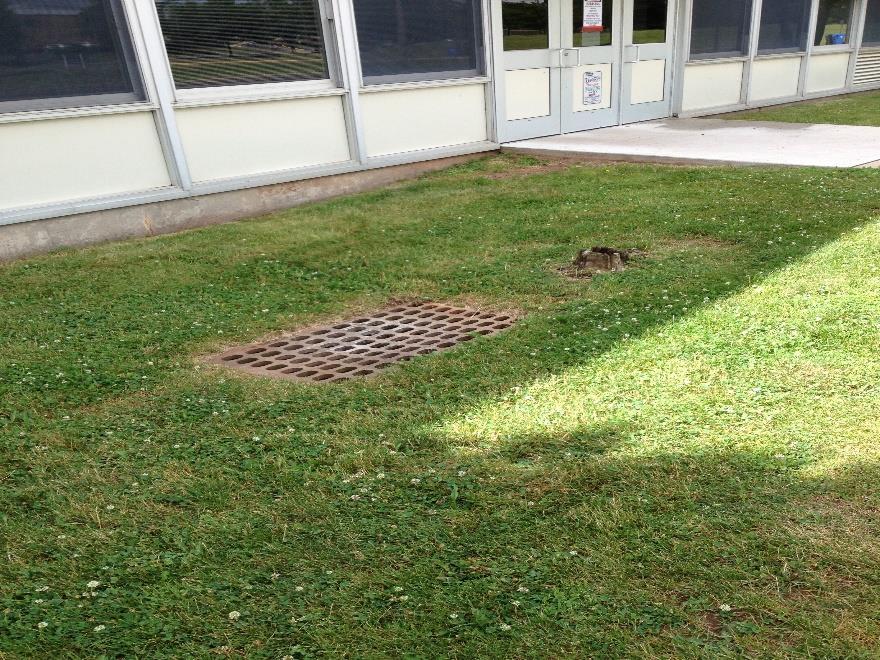 A bioretention system can be installed on the north side of the school near the entrance.