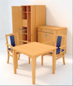 ARIO CHAIR ARIO CHAIR WITH ARMS Closets,