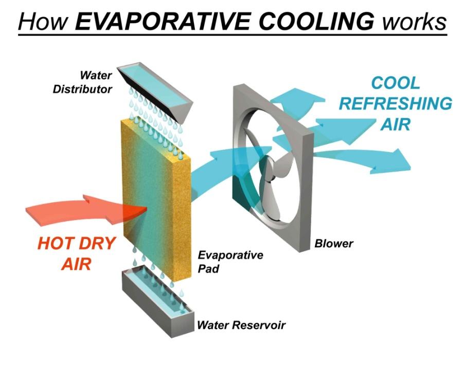 When operating an evaporative cooler, windows are opened part way to allow warm indoor air to escape as it is replaced by cooled air.