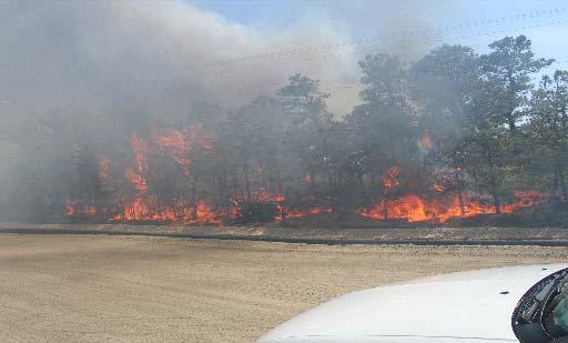 wildland fires 1 Acres Burned Photograph courtesy of Craig Augustoni 17000 2 1 2450 1 1 100 1 1 40 1 Number Of Acres Burned 20 15 11 1 1 1 1 1 3 6 7 1 2 5 4 6 3 11 47 1 94 0 10 20 30 40 50 60 70